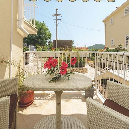 Apartment Viva La Vita Cavtat Dış mekan fotoğraf